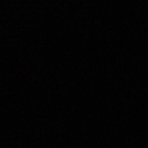 Meet your Posher, Sammy